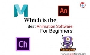 the topt Animation the topt Animation